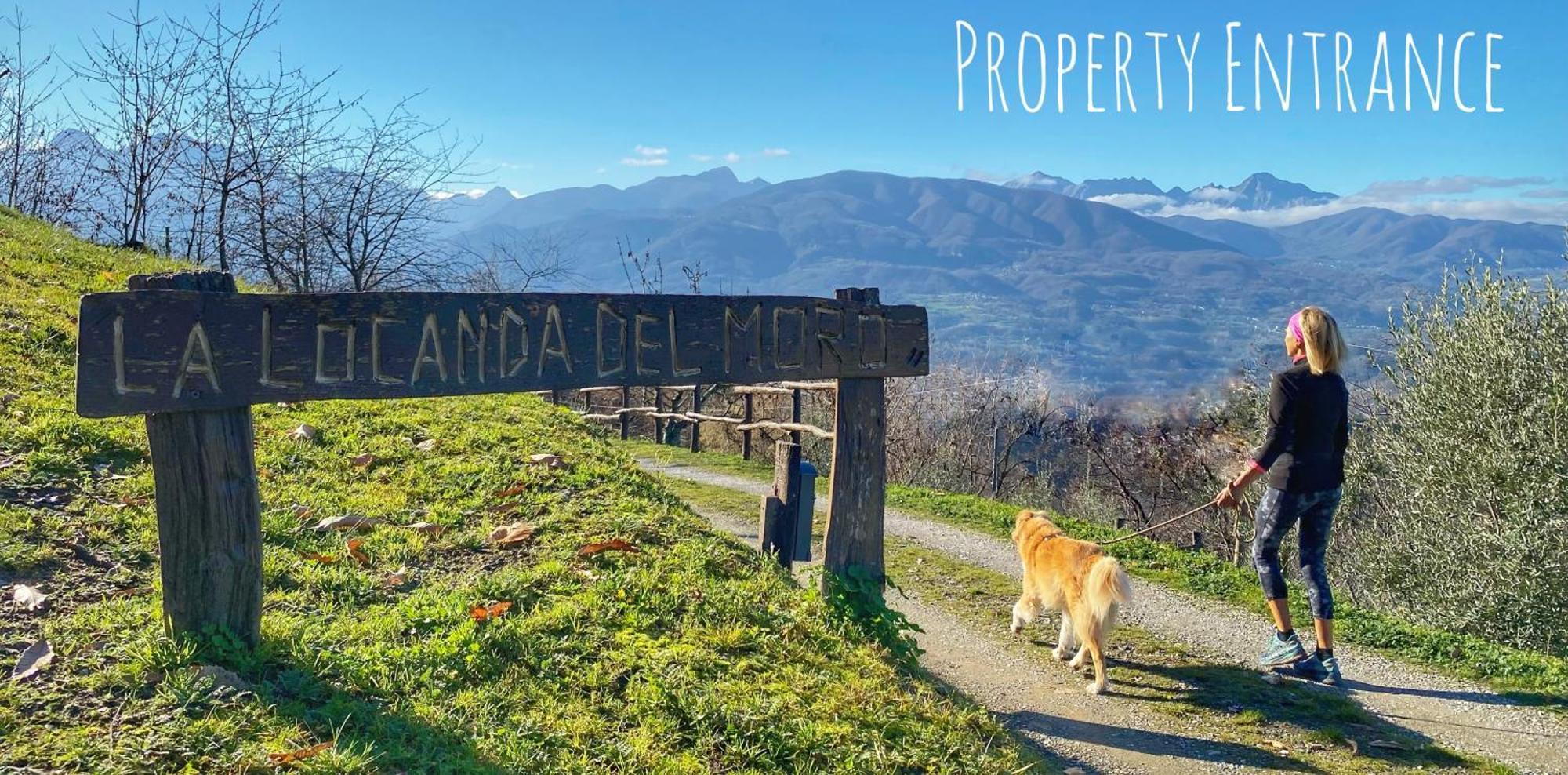 La Locanda Del Moro Pieve Fosciana Exterior foto